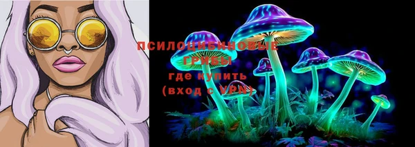 таблы Алзамай