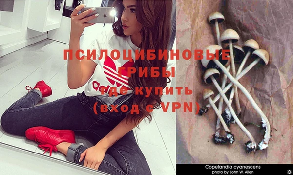 таблы Алзамай