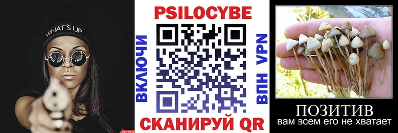 МЕГА tor Апатиты Галлюциногенные грибы ЛСД