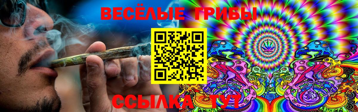 Апатиты  Псилоцибиновые грибы Magic Shrooms  Вход с VPN 